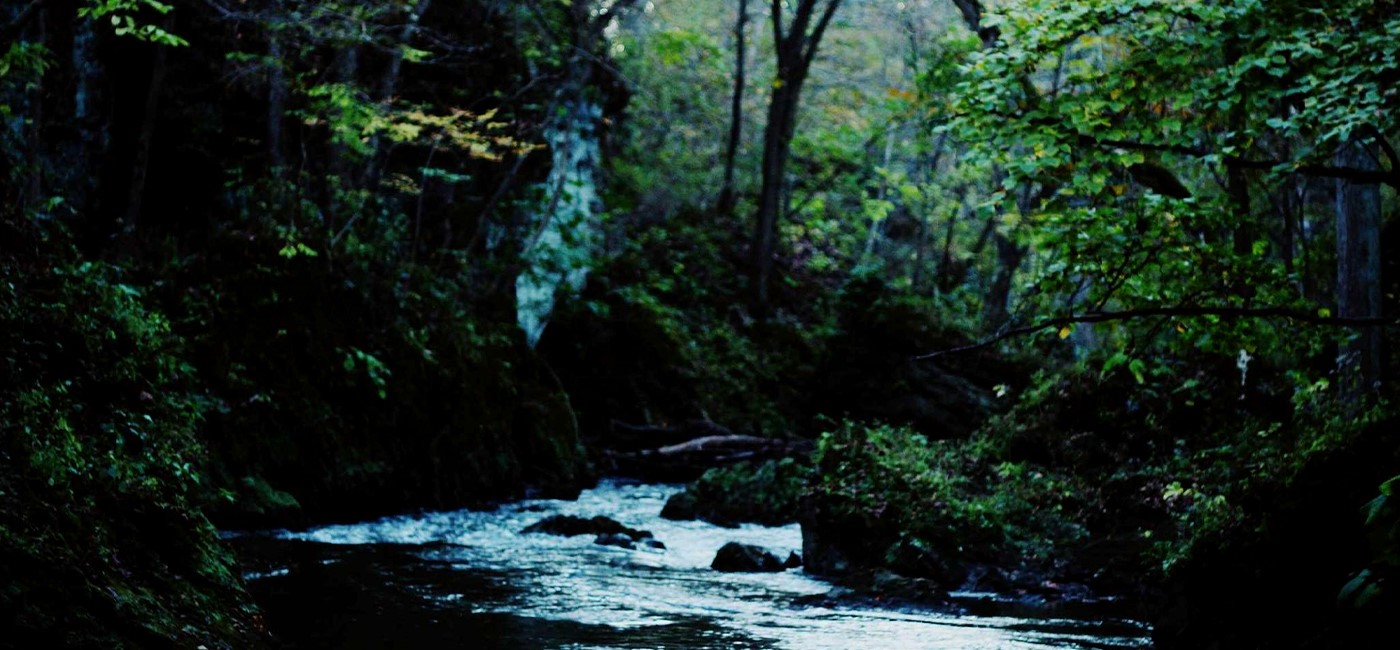 Corporate conference setup
